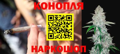 сатива Камышлов