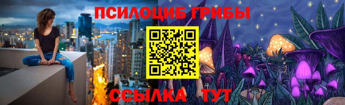 Галлюциногенные грибы Psilocybe  Вход с VPN  Кувандык  Псилоцибиновые грибы Magic Shrooms 